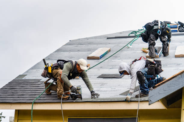 Professional Roofing technician working in Woodville, AL